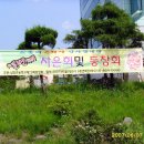 옥천관광호텔 Daum카페