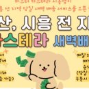 미스터 카스테라 이미지
