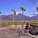 나무고아원 이미지