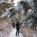 고인돌 - 양산시 범어1길 8 | 고인돌