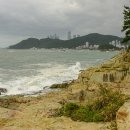 송정수산 Daum카페