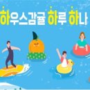 제주하랑