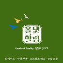 제 501회 주말 명상(11.16~11.17) - 오쇼 그룹 명상 이벤트(노마인드, 미스틱로즈) 외 이미지