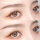 안경연구소&렌즈스토리 이미지