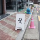 더즈플라워