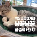 냥꿀냥꿀 이미지