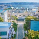동백꽃필무렵 - 서귀포시 | 동백꽃필무렵