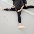 한스무용아카데미학원 이미지