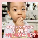 안둔 | 삼팔당땡 우리 아이 첫 건강간식 저당웨하스딸기 쟁여둔 솔직후기
