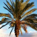 소세지식당 이미지