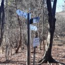 원동초등학교이천분교 이미지