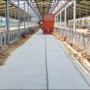 지정농장 이미지