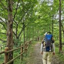 재일네 김밥 | 리틀라이프 유아 등산 캐리어 사용 후기, flyland 남성 등산화 착용 후기, 아이더 남성 냉감 조거 바지 )