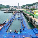 장보고낚시 - 홍천군 홍천로 486 | 장보고낚시