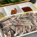 감포어시장 | 어시장 전어 포장, 마산 어시장 횟집 추천 감포횟집 내돈내산 후기