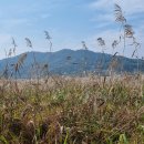 사문진교 이미지