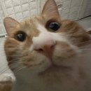 인터로드 PC방(인-121) | 1이 2개면 일만 많아진다. 11월