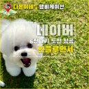 인플 | [공지] 2025년 11월 6전 7기 네이버 펫 인플루언서 선정 후기, 인플 합격 노하우까지!