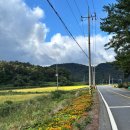 광주크리닝마트 | 202509-10 : 오랜만에