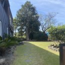 명월재 | 제주 숙소 명월재