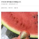 H1209 이미지