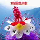 마음 이미지