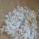 돌돌이네 이미지