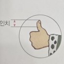 인치(INCHI)