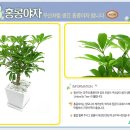 축복의집 이미지