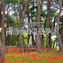 [대전] 가을꽃명소 한밭수목원 :: 동원과 서원 차이 ? | 입장료 | 주차 | 꽃무릇 포토존
