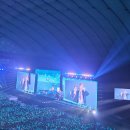 여주-0042 | [일본여행] 도쿄3일차 (휴먼메이드 블루보틀, 가츠동야 즈이초, 도쿄돔 라이즈콘서트, 이케부쿠로 마트)