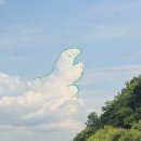 금호지 생태공원 | 하모를 보기위해 떠난 진주여행 上 (하연옥,금호지,월아산자락,진양호동물원,진주레일바이크)