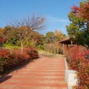 반룡마을회관 이미지