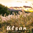 울산 가볼만한곳 :: 반구대 암각화 옹기마을 태화강 국가정원 야경 스팟 등
