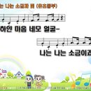 성경과소금 이미지