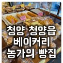 농가의빵집 | [청양읍 베이커리 농가의 빵집] 청양 특산물 디저트 청양고추 청또아