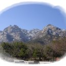 김해농협서김해주유소 이미지