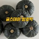 호박 | 밤호박 택배 후기 귤스데이 보우짱 단호박 샐러드 레시피