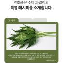 온도 수제청 | [수제청 추천] 건강까지 담은 달콤한 수제과일약초청, '어울림수제청'의 당귀품은키위청 후기🥝