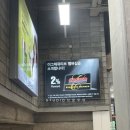 코스트코코리아대전점 네이버블로그