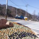 뒷동산농원 이미지