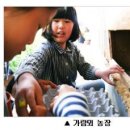 꿀꿀이축산 - 서구 심곡로 18 | 꿀꿀이축산
