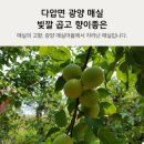 현옥농장 이미지