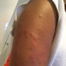 다윈약국 이미지