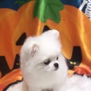 쏘니미용실