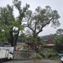 교촌3길 6 이미지