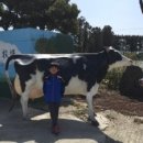 부화목장 이미지