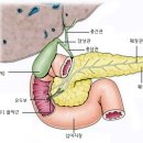 오디한의원 이미지