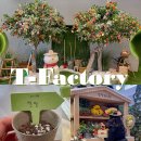 서울 홍대놀거리 팝업스토어 티팩토리 T Factory 감정과수원