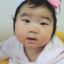 롤리폴리헤어 네이버블로그